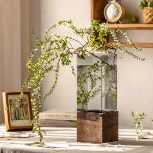 Nordic GlassTerrarium Vase with Wooden Base for Hydroponic Flowers